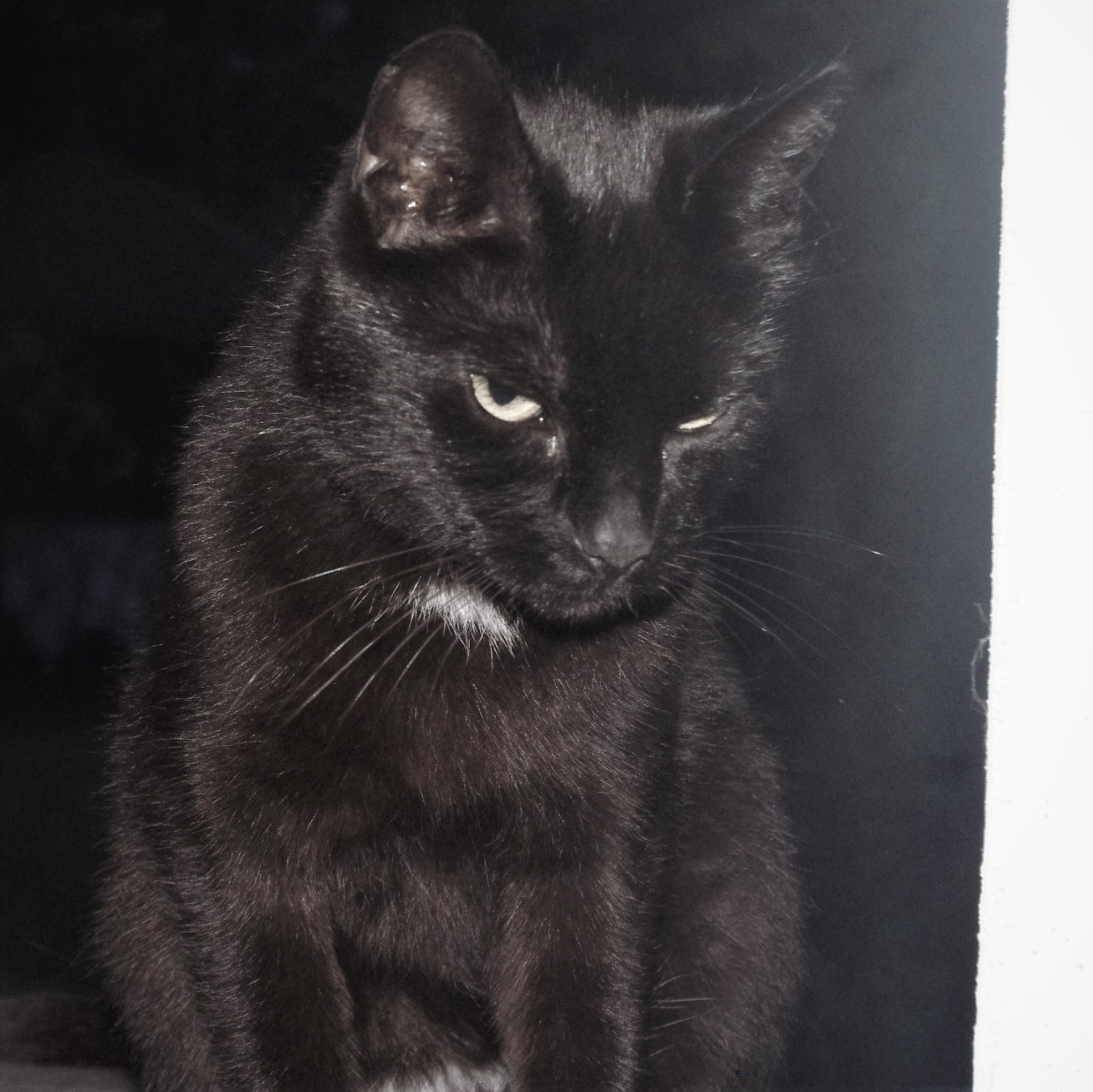 Z pamiętnika „Mój Dany Mi Świat”.