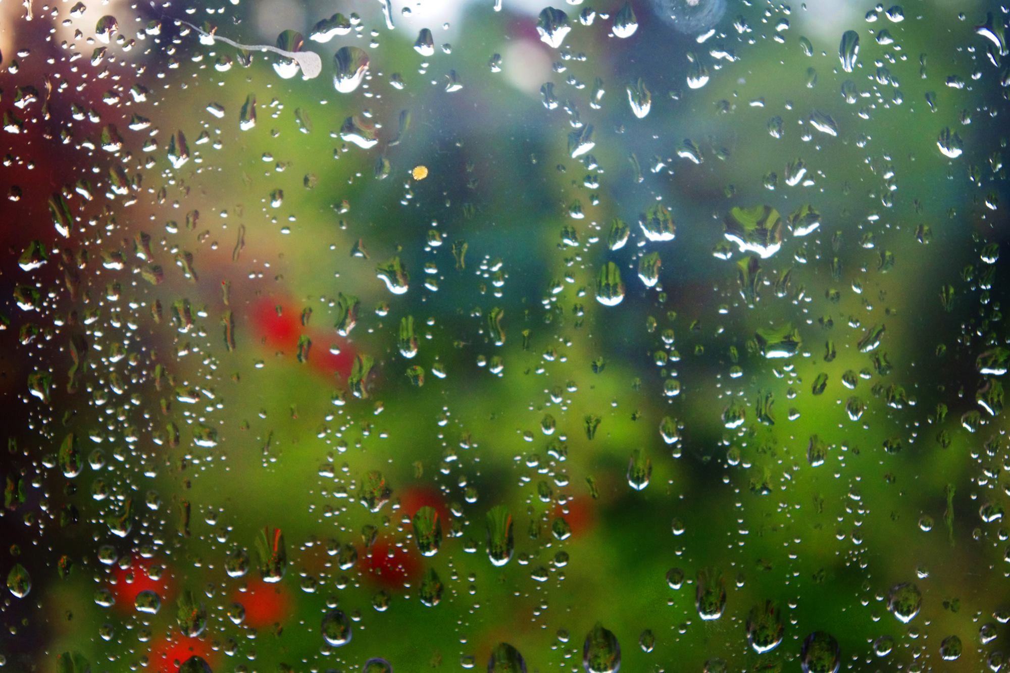 Z pamiętnika „Mój dany mi Świat”