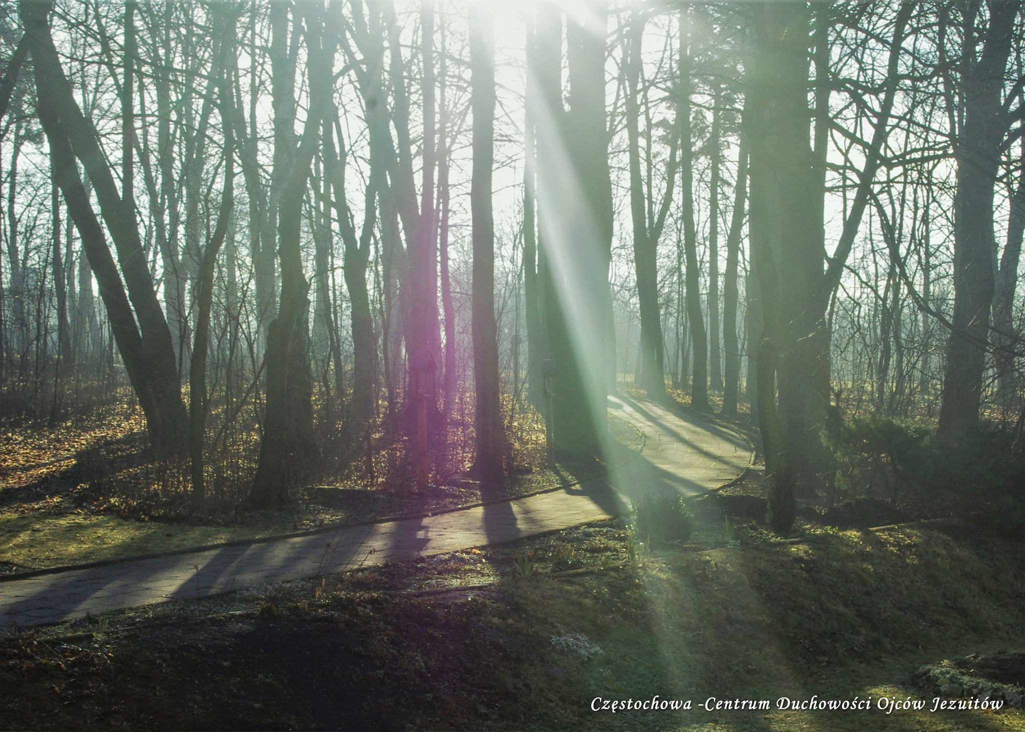 Z pamiętnika „Mój Dany Mi Świat”